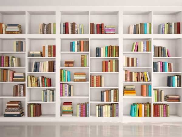 Bookshelf Assembly in Falls Church